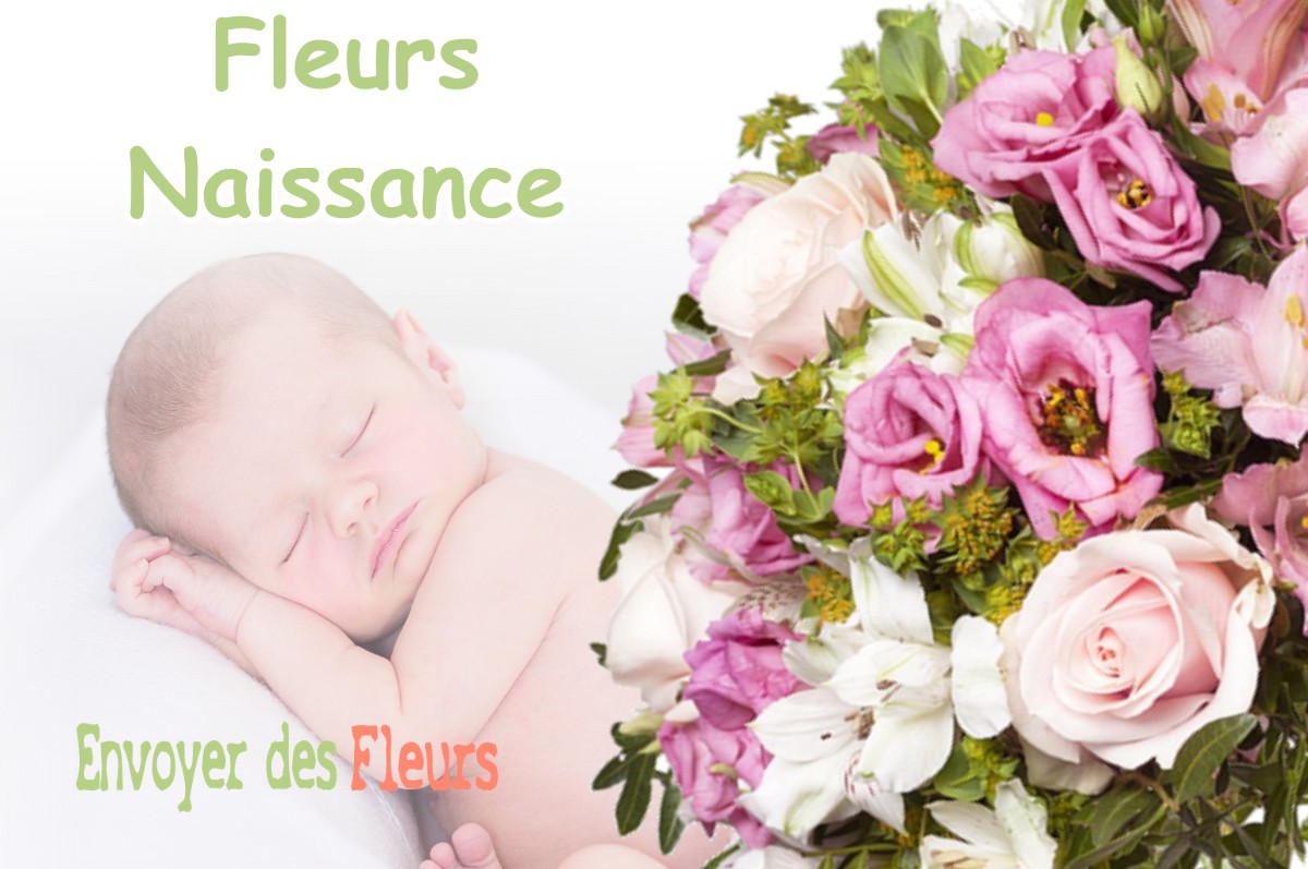 lIVRAISON FLEURS NAISSANCE à L-UNION