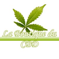 LA BOUTIQUE DU CBD L-UNION 